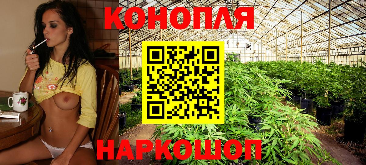 Городец  Марихуана LSD WEED  Марихуана конопля  Марихуана White Widow  Вход с VPN  Конопля индика 